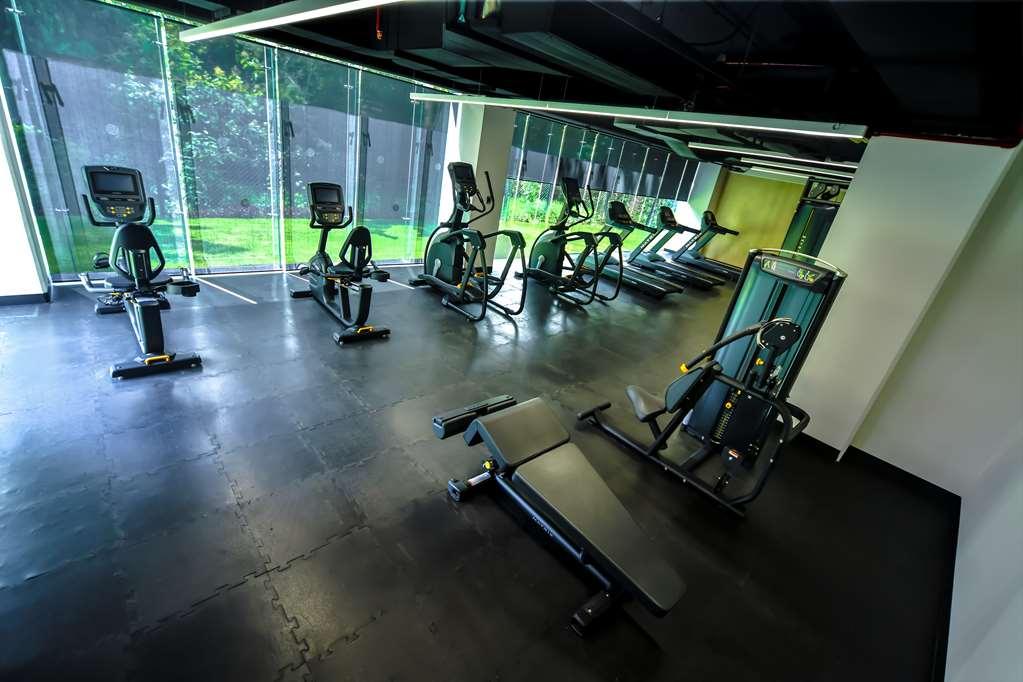 Galeria Plaza San Jeronimo Hotell Mexico City Bekvämligheter bild The gym at the hotel