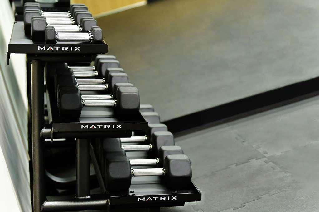 Galeria Plaza San Jeronimo Hotell Mexico City Bekvämligheter bild Dumbbells