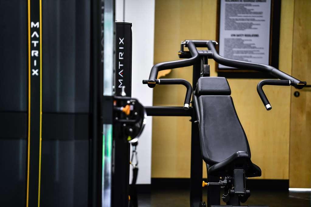 Galeria Plaza San Jeronimo Hotell Mexico City Bekvämligheter bild A shoulder press machine