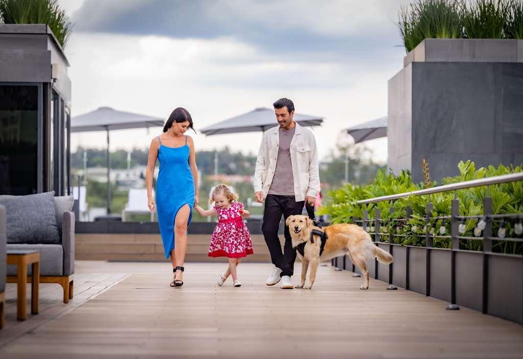 Galeria Plaza San Jeronimo Hotell Mexico City Bekvämligheter bild Residents on the Sky Deck