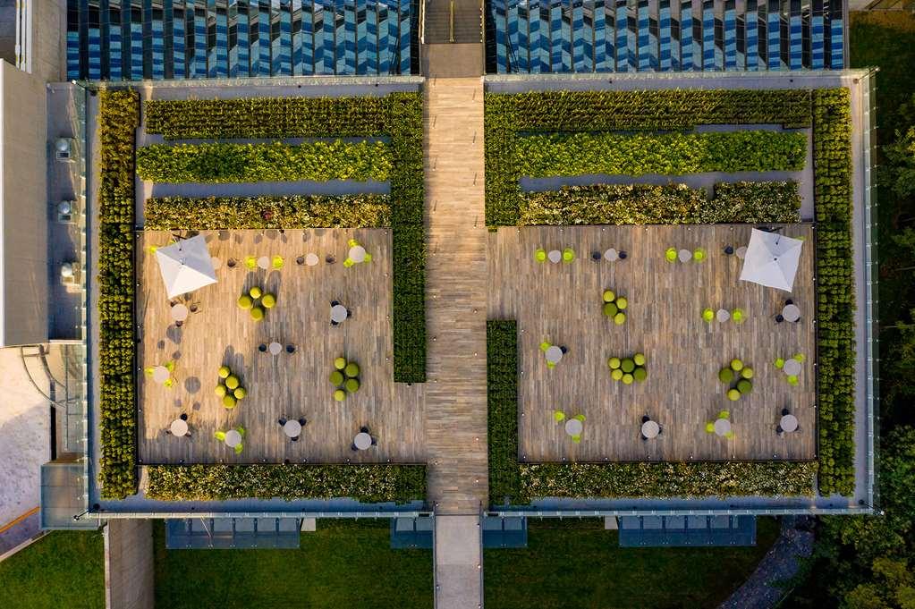 Galeria Plaza San Jeronimo Hotell Mexico City Exteriör bild The green wall at the Allianz Arena