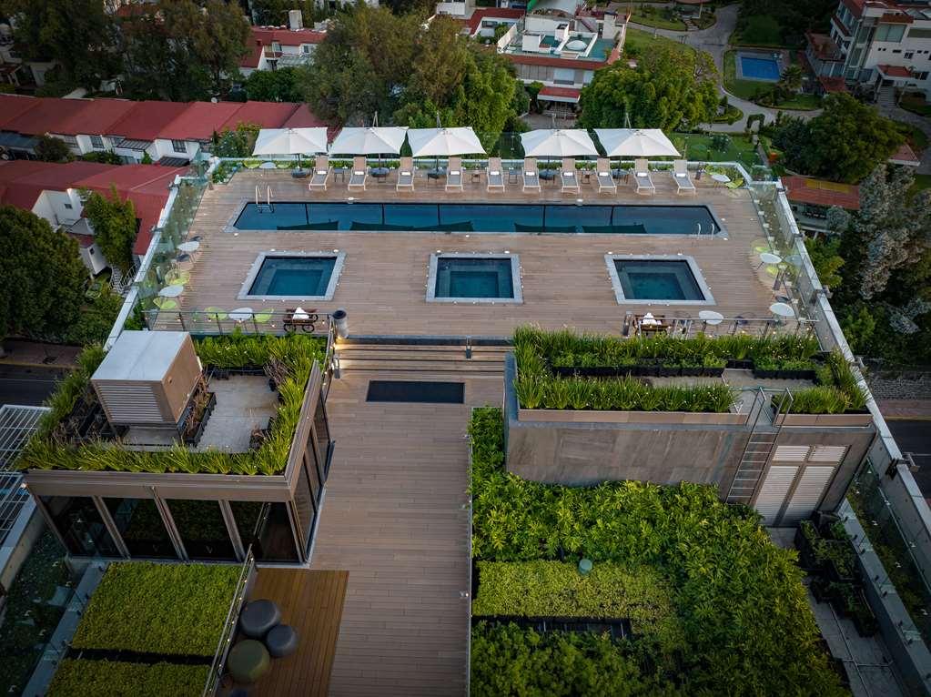 Galeria Plaza San Jeronimo Hotell Mexico City Bekvämligheter bild The rooftop pool at the hotel